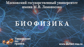 Постер курса
