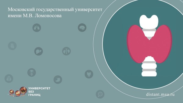 Постер курса