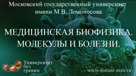 Постер курса