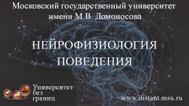 Постер курса