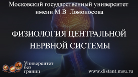 Постер курса