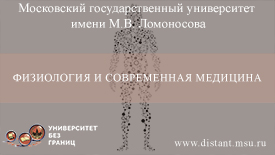 Постер курса