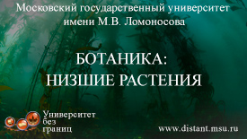 Постер курса