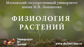Постер курса