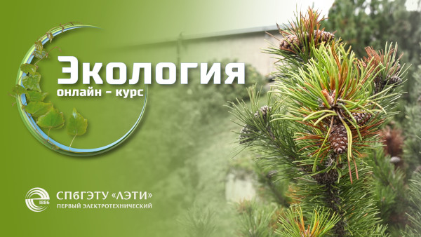 Постер курса
