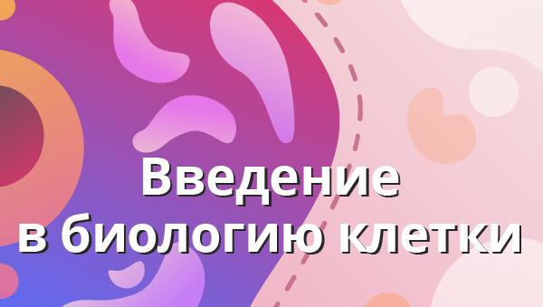 Постер курса